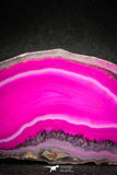 05076 -  Extremely Beautiful 3.90 Inch Brazilian Agate Slice (Chalcedony Geode Section)