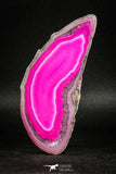 05076 -  Extremely Beautiful 3.90 Inch Brazilian Agate Slice (Chalcedony Geode Section)