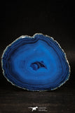 05079 -  Extremely Beautiful 2.87 Inch Brazilian Agate Slice (Chalcedony Geode Section)