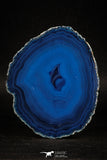 05079 -  Extremely Beautiful 2.87 Inch Brazilian Agate Slice (Chalcedony Geode Section)