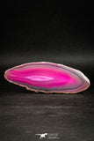 05080 -  Extremely Beautiful 3.66 Inch Brazilian Agate Slice (Chalcedony Geode Section)