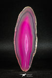 05080 -  Extremely Beautiful 3.66 Inch Brazilian Agate Slice (Chalcedony Geode Section)