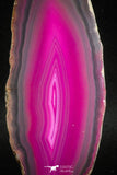 05080 -  Extremely Beautiful 3.66 Inch Brazilian Agate Slice (Chalcedony Geode Section)