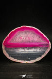 05081 -  Top Beautiful 2.83 Inch Brazilian Agate Slice (Chalcedony Geode Section)