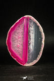 05081 -  Top Beautiful 2.83 Inch Brazilian Agate Slice (Chalcedony Geode Section)