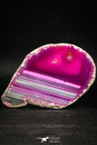 05082 -  Top Beautiful 3.43 Inch Brazilian Agate Slice (Chalcedony Geode Section)