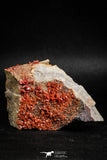 05083 - Beautiful Red Vanadinite Crystals Cluster from Mibladen Mining District, Midelt Province, Morocco