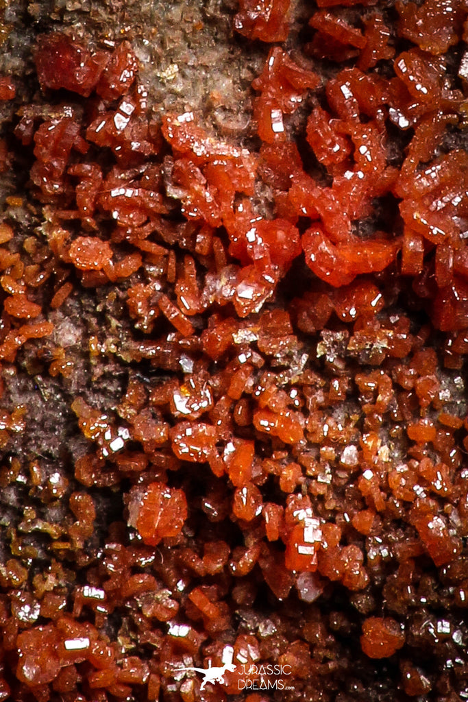 05083 - Beautiful Red Vanadinite Crystals Cluster from Mibladen Mining District, Midelt Province, Morocco