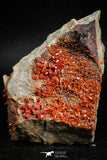 05083 - Beautiful Red Vanadinite Crystals Cluster from Mibladen Mining District, Midelt Province, Morocco