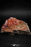 05086 - Beautiful Red Vanadinite Crystals Cluster from Mibladen Mining District, Midelt Province, Morocco