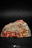 05086 - Beautiful Red Vanadinite Crystals Cluster from Mibladen Mining District, Midelt Province, Morocco