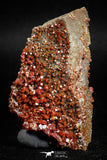 05086 - Beautiful Red Vanadinite Crystals Cluster from Mibladen Mining District, Midelt Province, Morocco