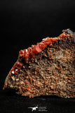 05087 - Beautiful Red Vanadinite Crystals Cluster from Mibladen Mining District, Midelt Province, Morocco