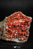 05088 - Beautiful Red Vanadinite Crystals Cluster from Mibladen Mining District, Midelt Province, Morocco