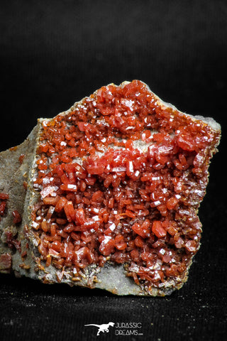 05088 - Beautiful Red Vanadinite Crystals Cluster from Mibladen Mining District, Midelt Province, Morocco