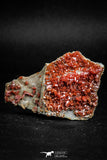 05088 - Beautiful Red Vanadinite Crystals Cluster from Mibladen Mining District, Midelt Province, Morocco