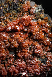 05089 - Beautiful Red Vanadinite Crystals Cluster from Mibladen Mining District, Midelt Province, Morocco