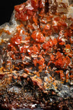 05089 - Beautiful Red Vanadinite Crystals Cluster from Mibladen Mining District, Midelt Province, Morocco