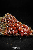 05092 - Beautiful Red Vanadinite Crystals Cluster from Mibladen Mining District, Midelt Province, Morocco