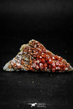 05092 - Beautiful Red Vanadinite Crystals Cluster from Mibladen Mining District, Midelt Province, Morocco