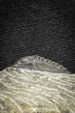 22068 - Top Quality 0.81 Inch Cornuproetus sp Middle Devonian Trilobite