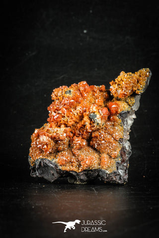 88514 -  Beautiful Red Vanadinite Crystals on Natural Manganese-Iron Oxide Matrix from Morocco