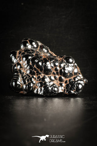 88516 - Dark Gray Bubbly Botryoidal 2.04 Inch Goethite from South Morocco