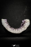 22088 - Beautiful Purple Natural Amethyst Geode Minas Gerais District - Brazil