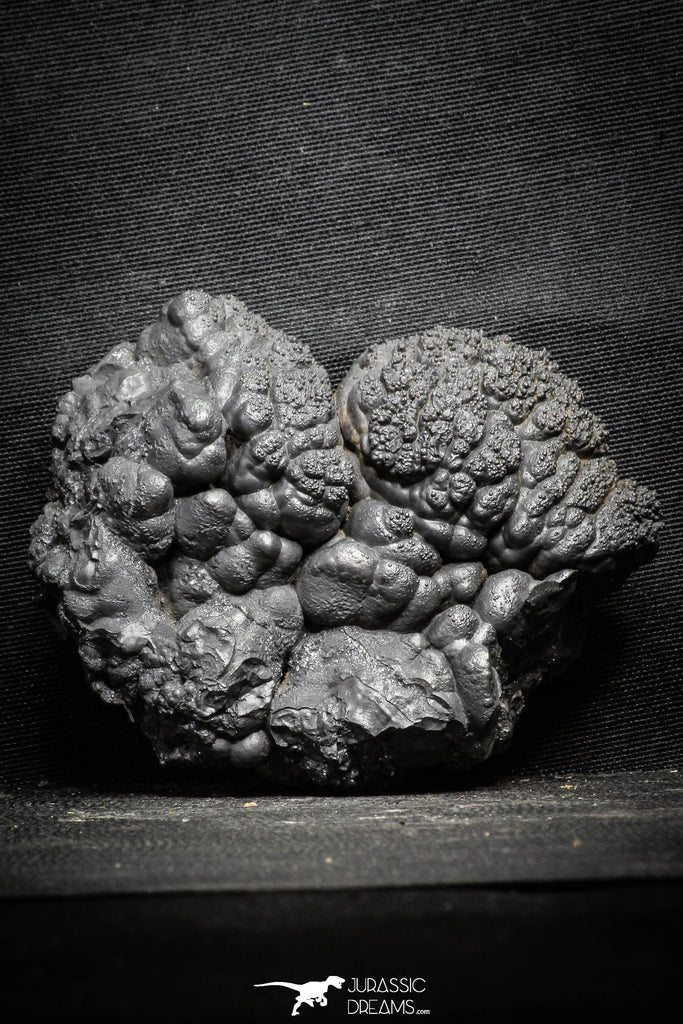 22092 - Botryoidal Goethite Cluster - Taouz, Morocco