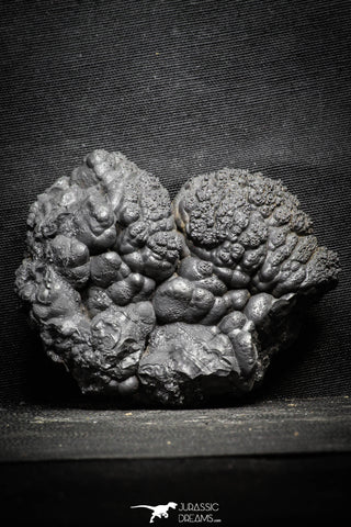 22092 - Botryoidal Goethite Cluster - Taouz, Morocco