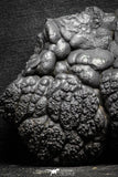22092 - Botryoidal Goethite Cluster - Taouz, Morocco
