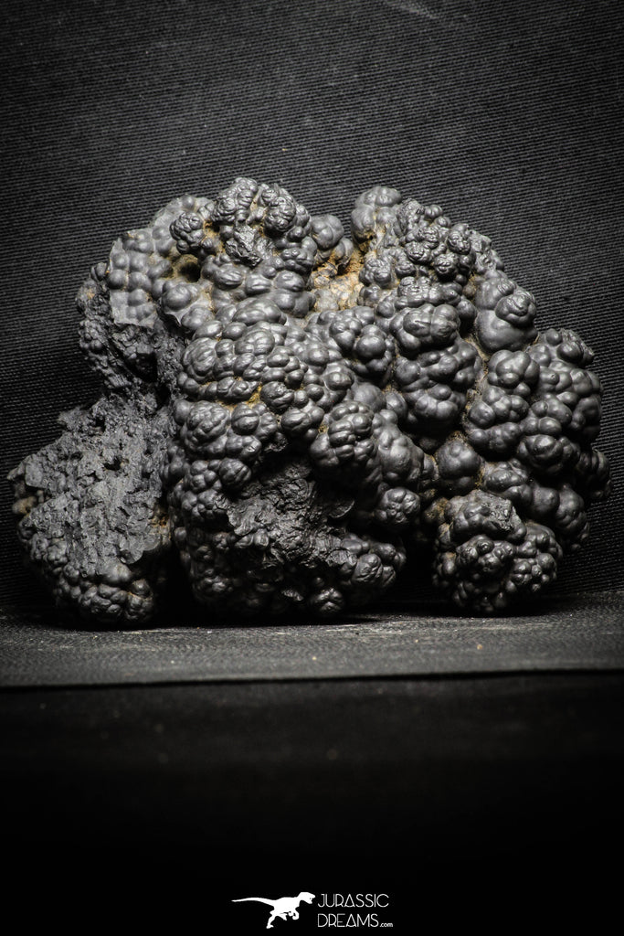 22093 - Botryoidal Goethite Cluster - Taouz, Morocco