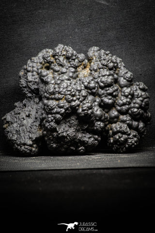 22093 - Botryoidal Goethite Cluster - Taouz, Morocco