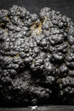 22093 - Botryoidal Goethite Cluster - Taouz, Morocco