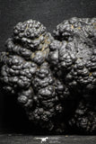 22093 - Botryoidal Goethite Cluster - Taouz, Morocco
