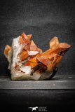 22095 - Top Beautiful 3.91 Inch Natural Red Iron-Oxide Coated Quartz Crystals Cluster