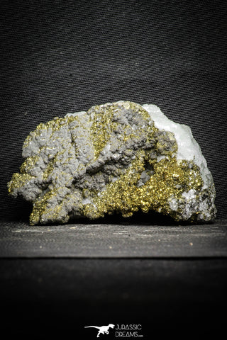 22097 - Beautiful 3.23 Inch Pyrite Crystals on Calcite from El Hammam Mine - Morocco