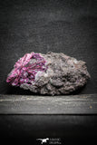 22099 - Nice Pink Erythrite Crystals on Matrix - Bou Azzer Mine (South Morocco)