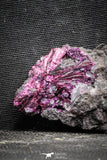 22099 - Nice Pink Erythrite Crystals on Matrix - Bou Azzer Mine (South Morocco)