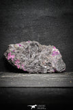 22099 - Nice Pink Erythrite Crystals on Matrix - Bou Azzer Mine (South Morocco)