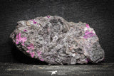 22099 - Nice Pink Erythrite Crystals on Matrix - Bou Azzer Mine (South Morocco)