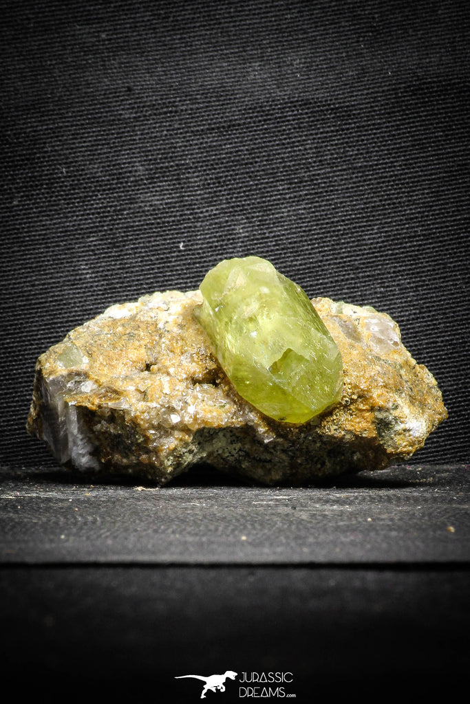 22100 - Lustrous Yellow Green Apatite Crystals on Brecciated Matrix - Imilchil (Morocco)