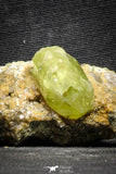 22100 - Lustrous Yellow Green Apatite Crystals on Brecciated Matrix - Imilchil (Morocco)