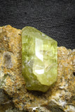 22100 - Lustrous Yellow Green Apatite Crystals on Brecciated Matrix - Imilchil (Morocco)