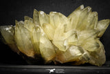22107 - Top Beautiful Huge 9.57 Inch Calcite Crystals from South Morocco