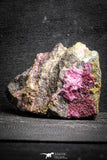 22111 - Nice Pink Erythrite Crystals on Matrix - Bou Azzer Mine (South Morocco)