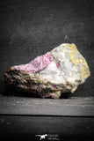 22111 - Nice Pink Erythrite Crystals on Matrix - Bou Azzer Mine (South Morocco)