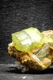 22113 - Lustrous Yellow Green Apatite Crystals on Brecciated Matrix - Imilchil (Morocco)