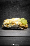 22113 - Lustrous Yellow Green Apatite Crystals on Brecciated Matrix - Imilchil (Morocco)