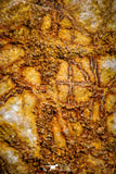 06010 - Rare Spinosaurus - Crocodile 2.09 Inch Coprolite with Digested Fish Scales